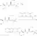 Fig. 23 - Polypeptide immobilization