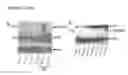 Fig. 06 - RAF gene fusions