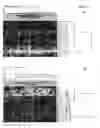 Fig. 02 - Vanin 1 as a Peripheral Blood Oxidative Stress Sensor