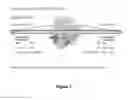 Fig. 03 - Diagnostic lung cancer panel and methods for its use