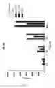 Fig. 06 - NOVEL TRANSPORTER CONSTRUCTS AND TRANSPORTER CARGO CONJUGATE MOLECULES