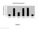 Fig. 07 - Factor VIII Variants and Methods of Use