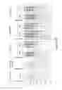Fig. 43 - Von Willebrand factor- and factor VIII-polymer conjugates having a releasable linkage
