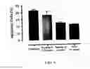 Fig. 07 - Tissue protective peptides and uses thereof