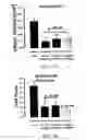 Fig. 08 - Tissue protective peptides and uses thereof
