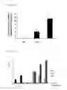 Fig. 05 - AGENT FOR STIMULATING MOBILIZATION OF ENDOTHELIAL PROGENITOR CELLS