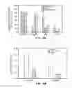 Fig. 09 - Biomolecular coating for implants