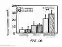 Fig. 22 - Biomolecular coating for implants