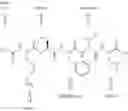 Fig. 20 - Modified Peptides and Uses Thereof