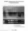 Fig. 64 - Antibodies and molecules derived therefrom that bind to STEAP-1 proteins