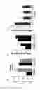 Fig. 04 - NON HUMAN ANIMAL MODELS FOR INCREASED RETINAL VASCULAR PERMEABILITY