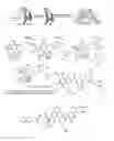 Fig. 01 - Antineoplastic hydrogels, and enzyme-instructed preparations thereof