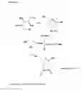 Fig. 04 - KETOGENIC SACCHARIDES