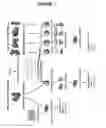 Fig. 02 - Compositions And Methods For Predicting Inhibitors Of Protein Targets