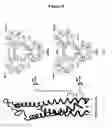 Fig. 10 - Compositions And Methods For Predicting Inhibitors Of Protein Targets