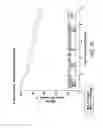 Fig. 06 - AKT phosphorylation at Ser473 as an indicator for taxane-based chemotherapy
