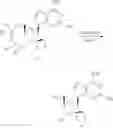 Fig. 131 - 2′-spiro-nucleosides and derivatives thereof useful for treating hepatitis C virus and dengue virus infections