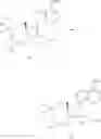 Fig. 167 - 2′-spiro-nucleosides and derivatives thereof useful for treating hepatitis C virus and dengue virus infections