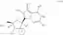 Fig. 49 - 2′-spiro-nucleosides and derivatives thereof useful for treating hepatitis C virus and dengue virus infections