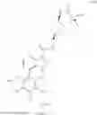 Fig. 18 - Methylpyrrolopyridinecarboxamides
