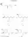 Fig. 48 - Methylpyrrolopyridinecarboxamides