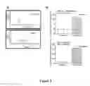 Fig. 05 - Method of Treating Cancer with a Combination of a Proteasome Inhibitor and Salubrinal