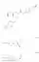Fig. 210 - Substituted pyrazolylamides useful as glucokinase activators
