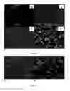 Fig. 10 - Targetted drug delivery to the bone
