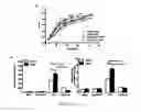 Fig. 07 - METHOD FOR TREATING LUNG DISEASE