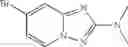 Fig. 99 - Triazolopyridine compounds