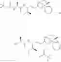 Fig. 147 - CATHEPSIN C INHIBITORS