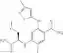 Fig. 113 - Benzamides and nicotinamides as Syk modulators