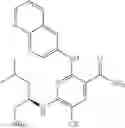 Fig. 208 - Benzamides and nicotinamides as Syk modulators