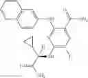 Fig. 301 - Benzamides and nicotinamides as Syk modulators