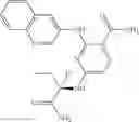 Fig. 307 - Benzamides and nicotinamides as Syk modulators