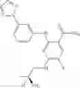 Fig. 378 - Benzamides and nicotinamides as Syk modulators