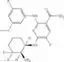 Fig. 470 - Benzamides and nicotinamides as Syk modulators
