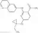 Fig. 566 - Benzamides and nicotinamides as Syk modulators