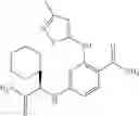 Fig. 92 - Benzamides and nicotinamides as Syk modulators