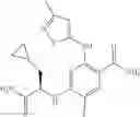 Fig. 97 - Benzamides and nicotinamides as Syk modulators