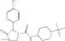 Fig. 262 - Pyrrolidine compounds which modulate the CB2 receptor