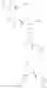Fig. 595 - Pyrrolidine compounds which modulate the CB2 receptor