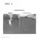 Fig. 02 - COMPOUNDS AND METHODS FOR SKIN REPAIR