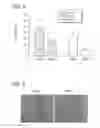 Fig. 04 - COMPOUNDS AND METHODS FOR SKIN REPAIR