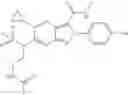 Fig. 102 - Viral polymerase inhibitors