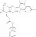Fig. 145 - Viral polymerase inhibitors