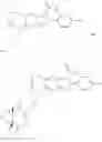 Fig. 55 - Viral polymerase inhibitors