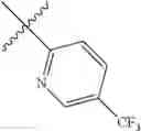 Fig. 41 - Picolinamide derivatives as TTX-S blockers