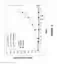 Fig. 10 - CONJUGATES OF CYTOTOXIC DRUGS