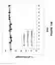 Fig. 15 - CONJUGATES OF CYTOTOXIC DRUGS
